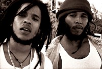 /album/the-bunch-of-keys/stephenziggy-marley-jpg/